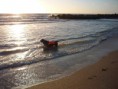 /album/fotogaleria/a555abcdef-002-jpg/